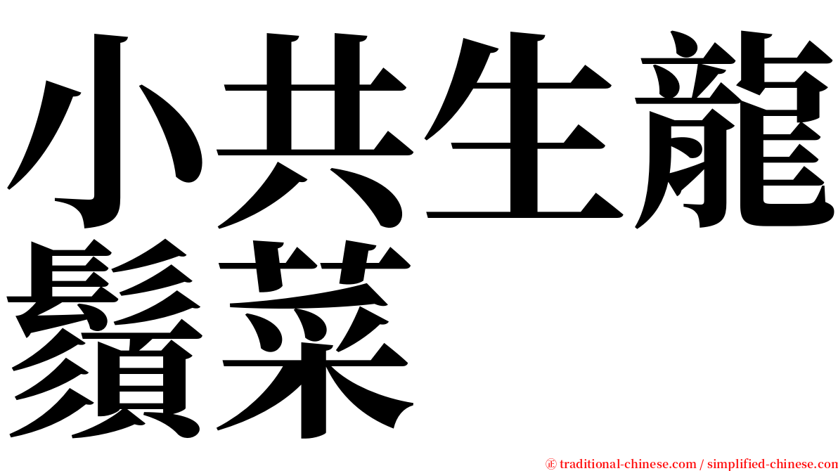 小共生龍鬚菜 serif font