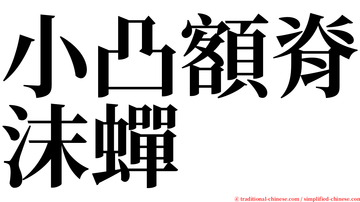 小凸額脊沫蟬 serif font