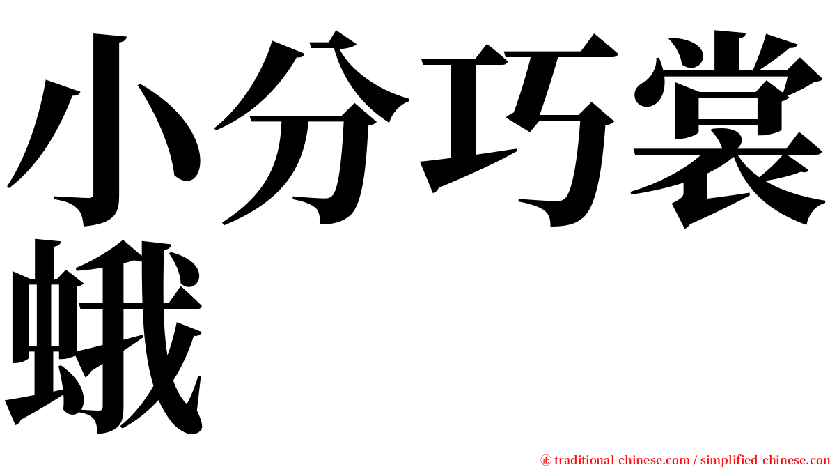 小分巧裳蛾 serif font