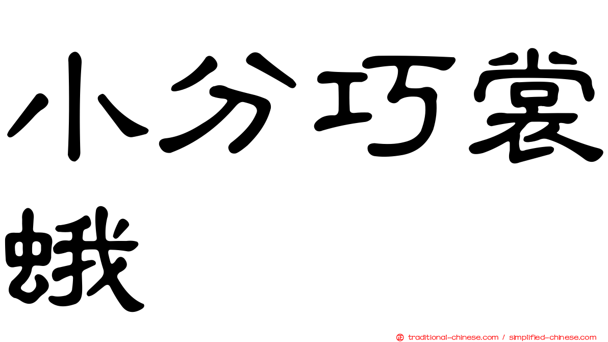 小分巧裳蛾