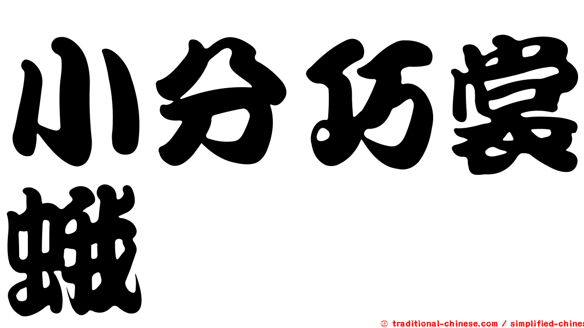 小分巧裳蛾