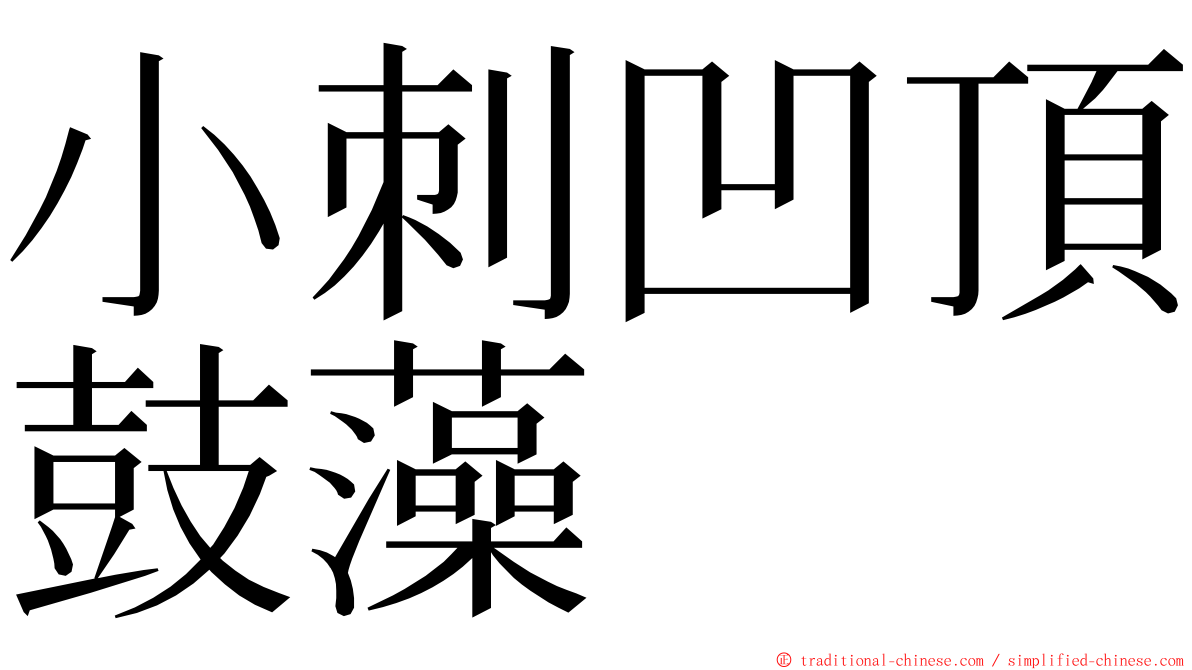 小刺凹頂鼓藻 ming font