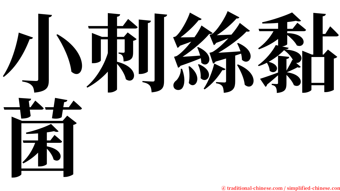 小刺絲黏菌 serif font