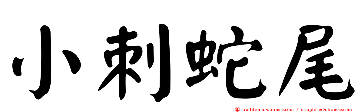 小刺蛇尾