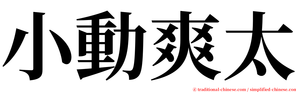 小動爽太 serif font