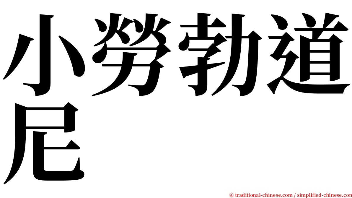 小勞勃道尼 serif font