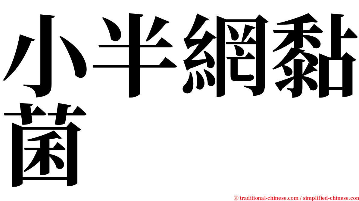 小半網黏菌 serif font