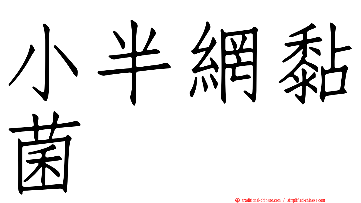 小半網黏菌