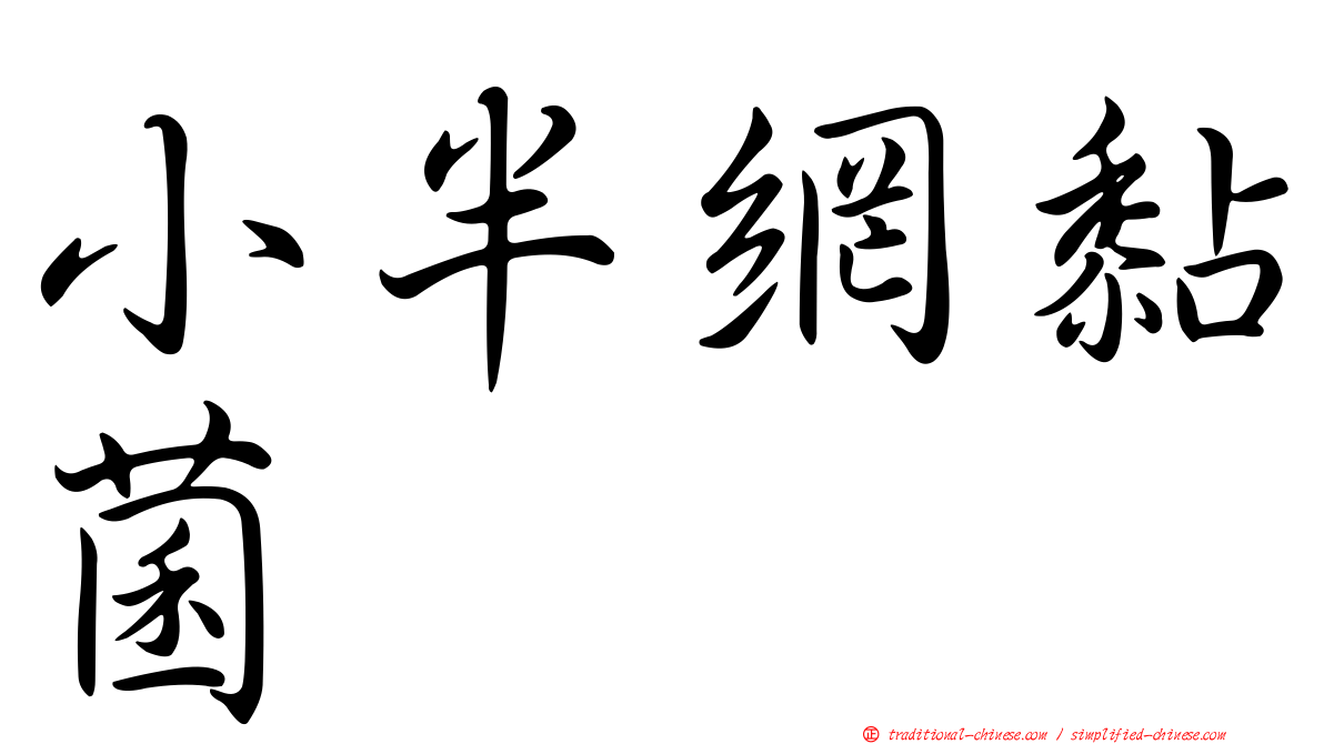 小半網黏菌