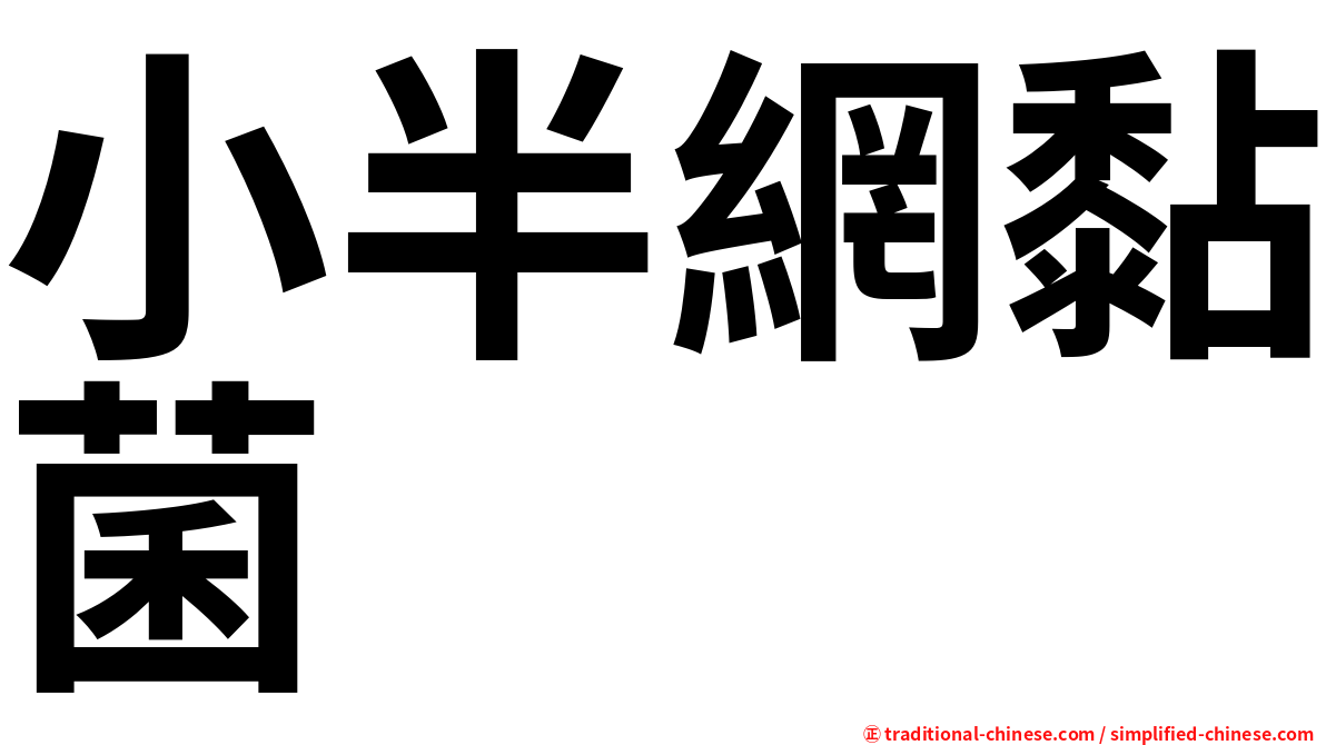 小半網黏菌