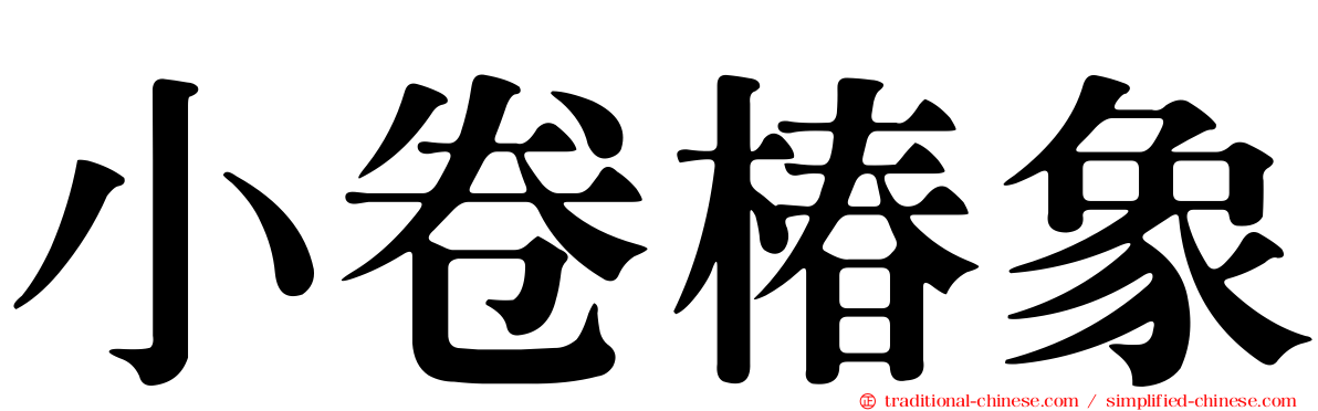 小卷椿象