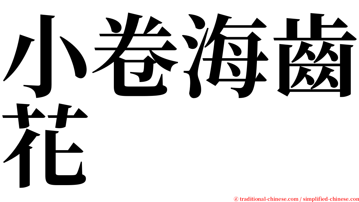 小卷海齒花 serif font