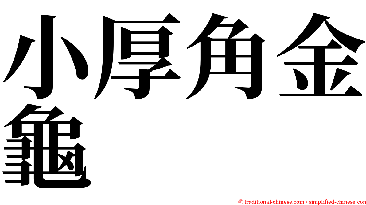 小厚角金龜 serif font