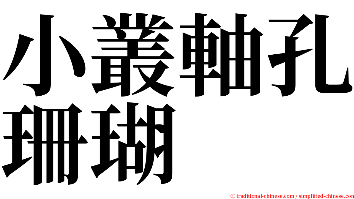 小叢軸孔珊瑚 serif font