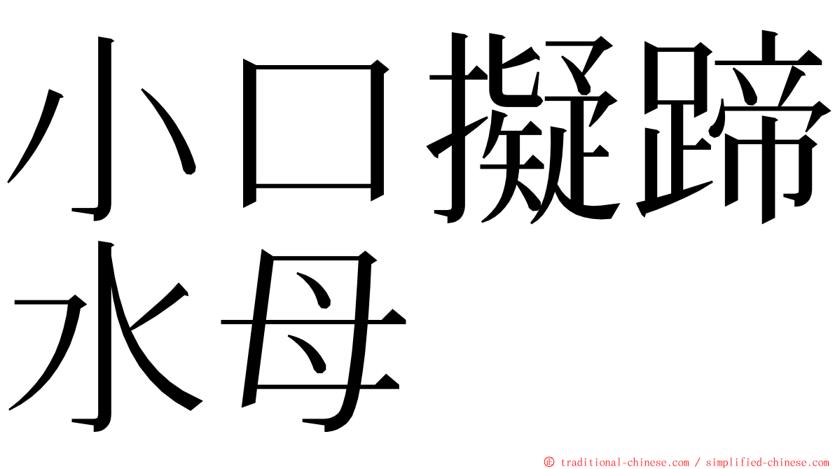 小口擬蹄水母 ming font