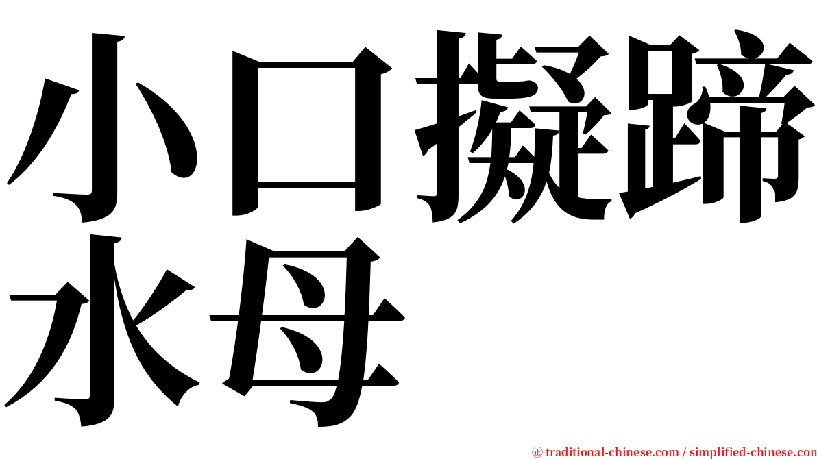 小口擬蹄水母 serif font