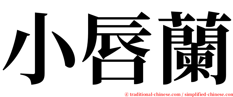 小唇蘭 serif font