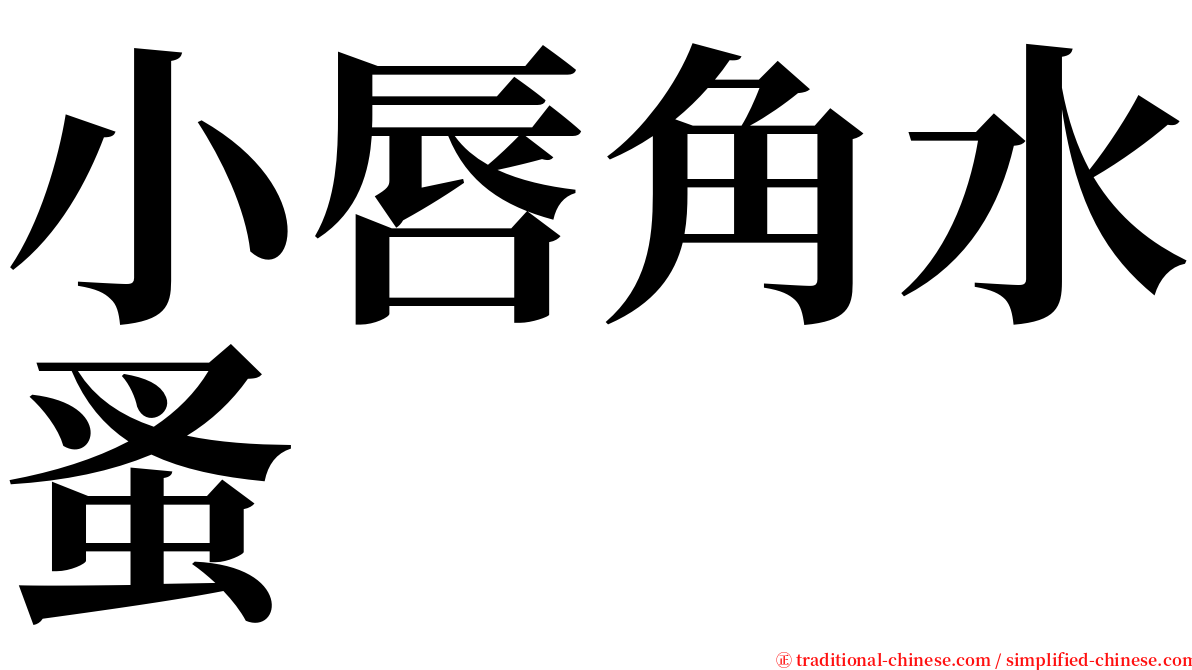 小唇角水蚤 serif font