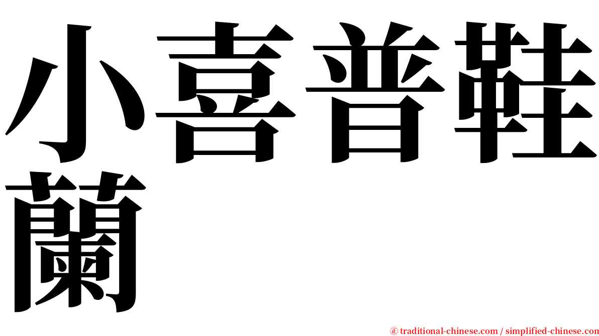 小喜普鞋蘭 serif font