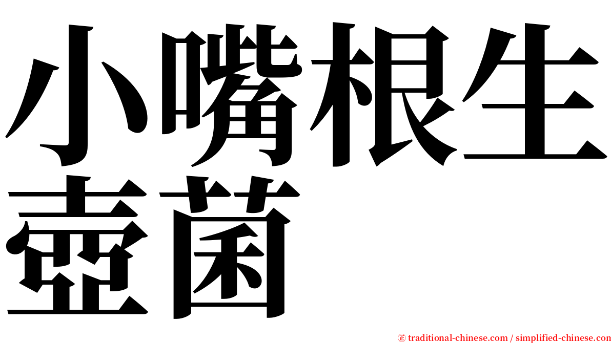 小嘴根生壺菌 serif font