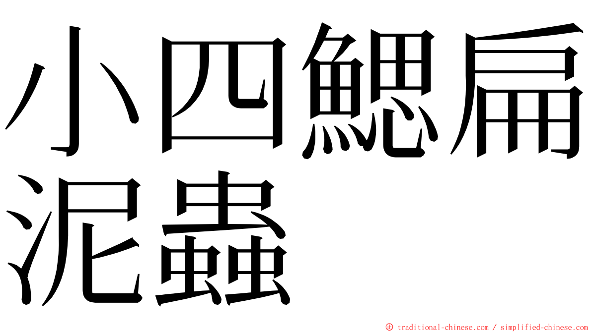 小四鰓扁泥蟲 ming font