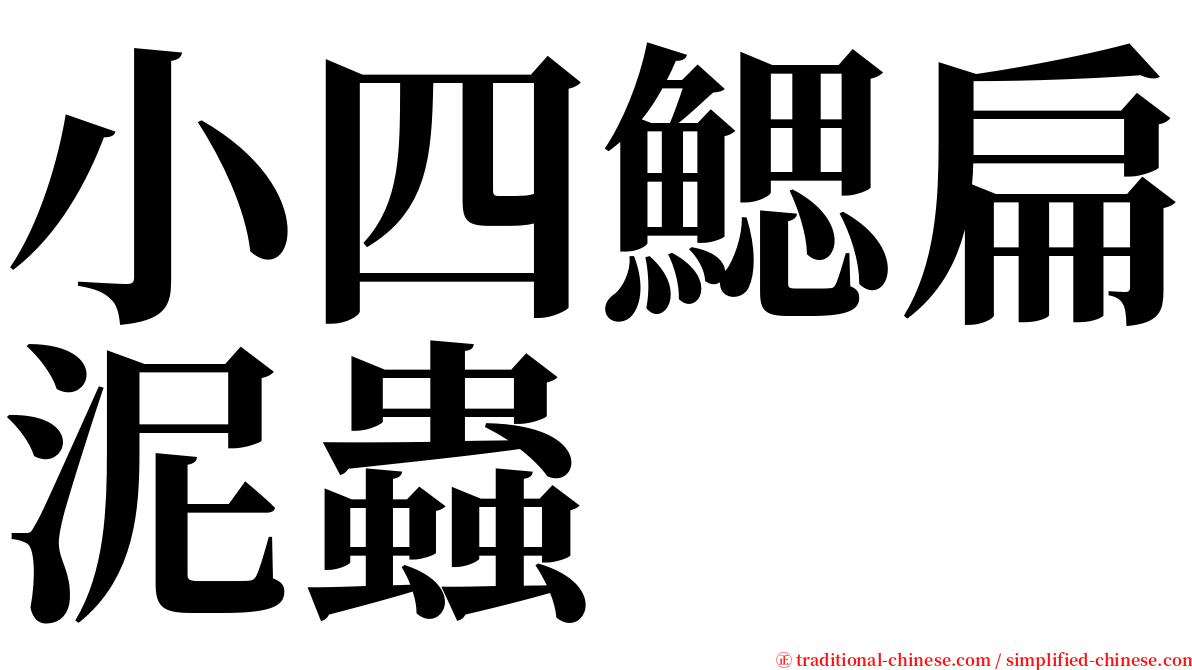 小四鰓扁泥蟲 serif font