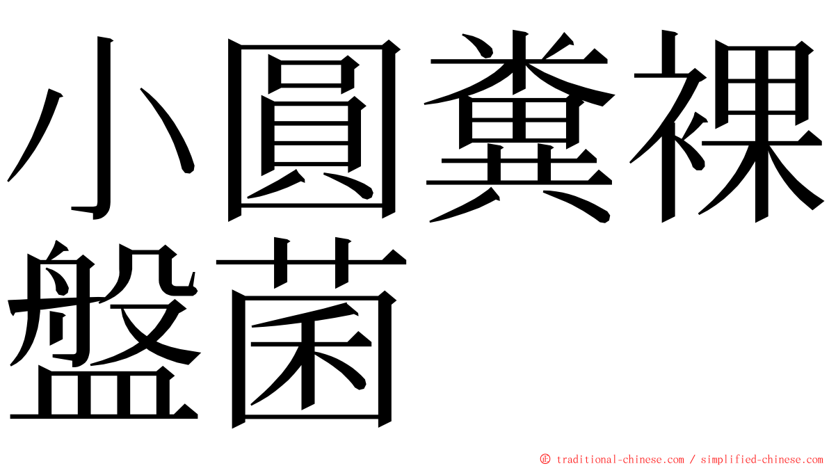 小圓糞裸盤菌 ming font