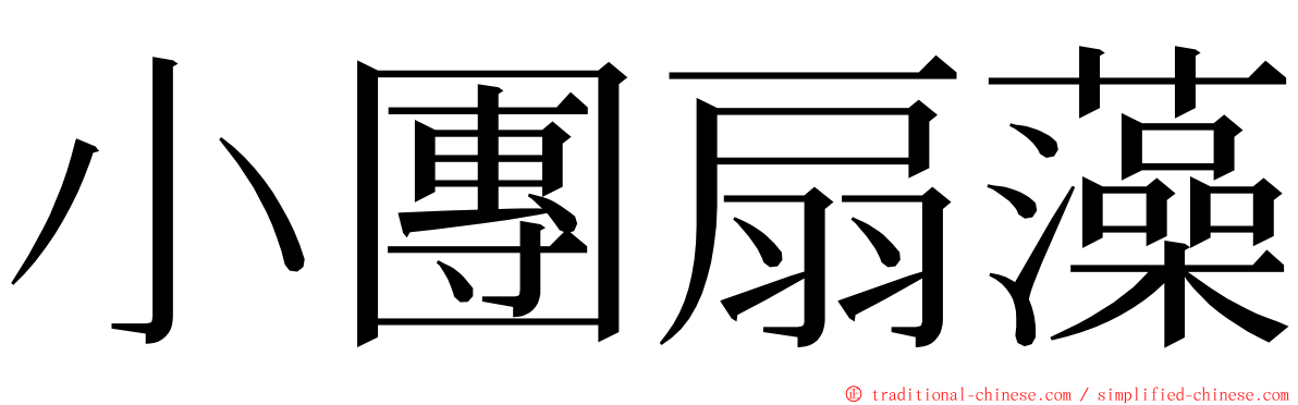 小團扇藻 ming font