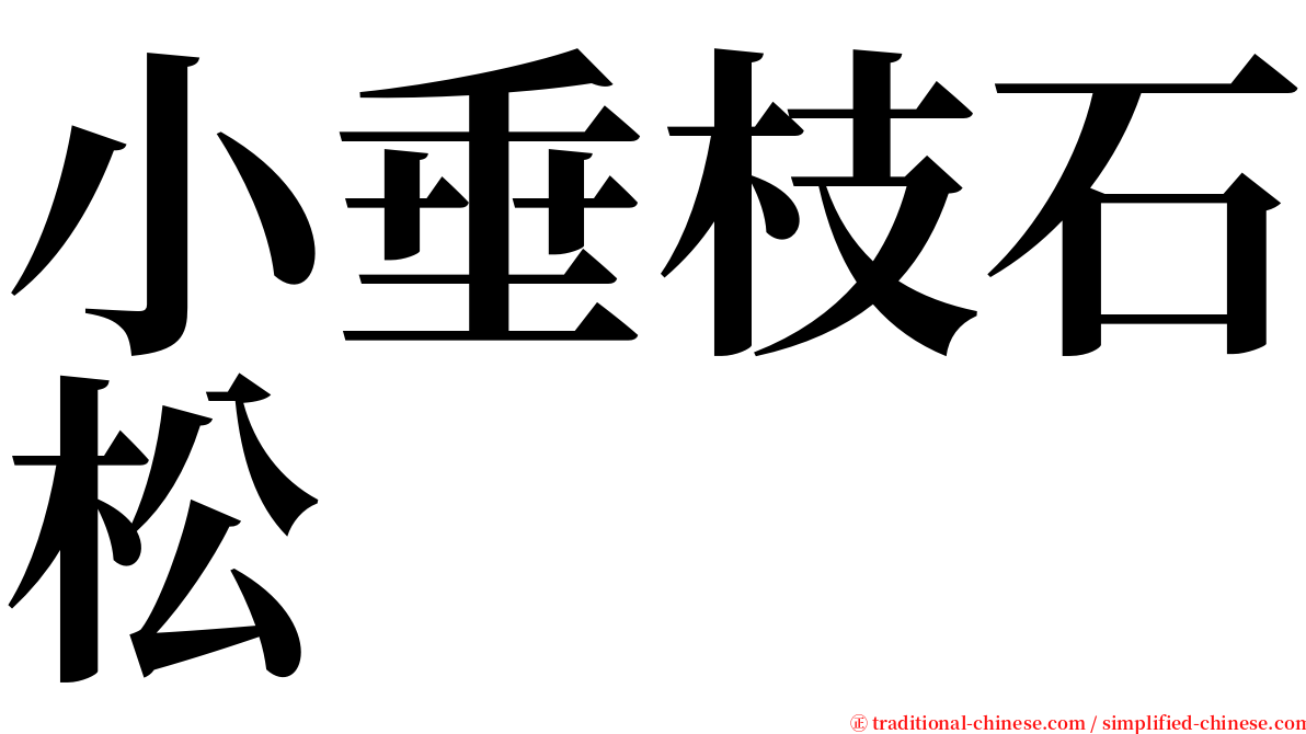 小垂枝石松 serif font