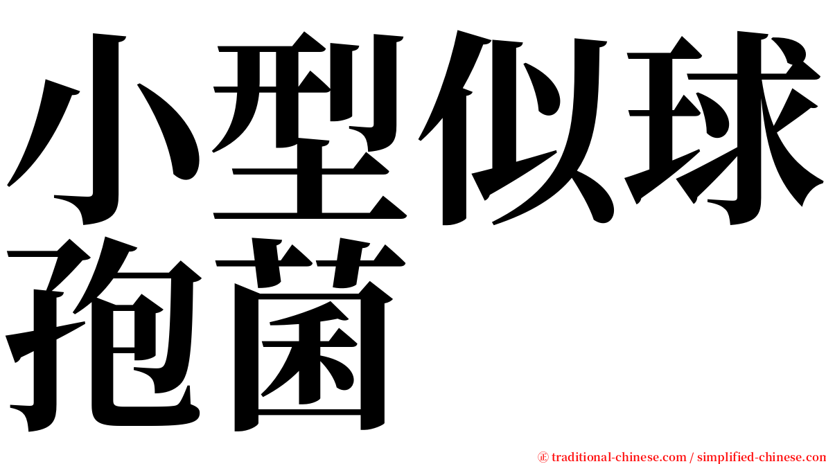 小型似球孢菌 serif font