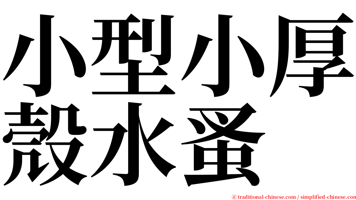 小型小厚殼水蚤 serif font