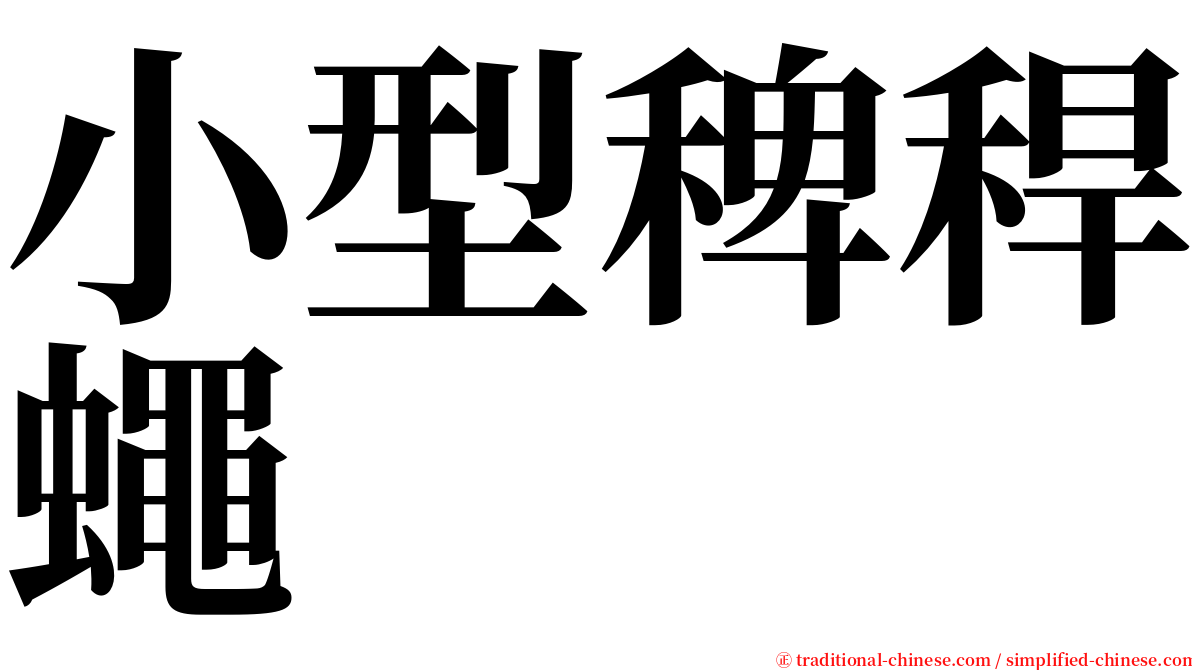 小型稗稈蠅 serif font