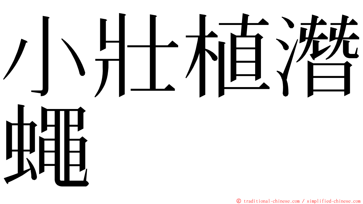 小壯植潛蠅 ming font