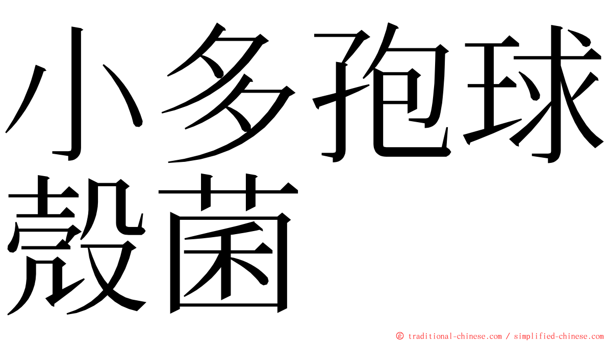 小多孢球殼菌 ming font