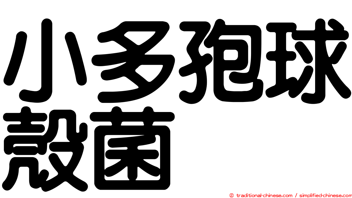 小多孢球殼菌