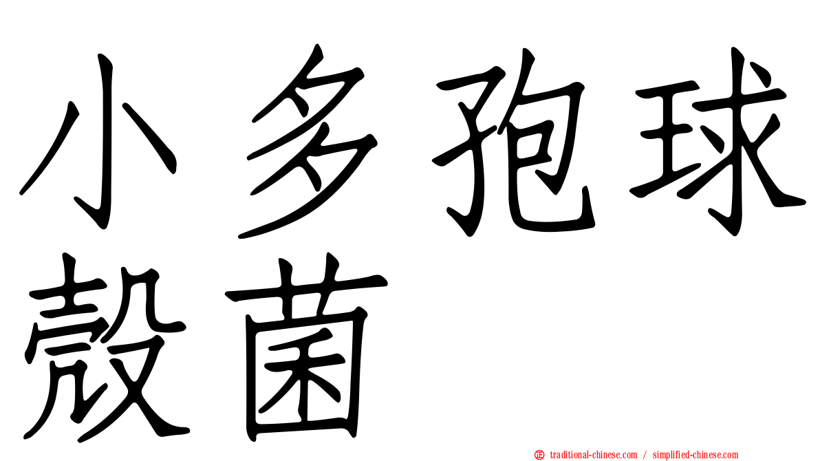 小多孢球殼菌