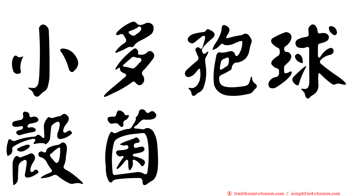 小多孢球殼菌