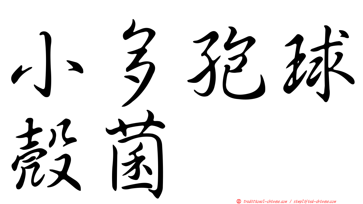小多孢球殼菌
