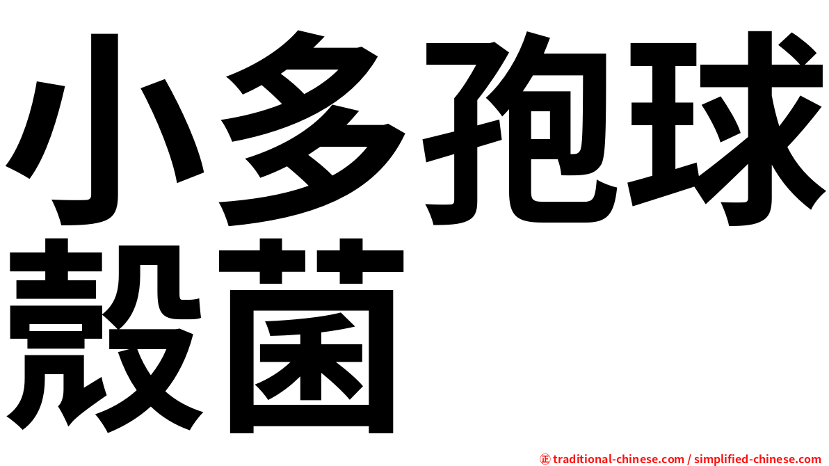 小多孢球殼菌
