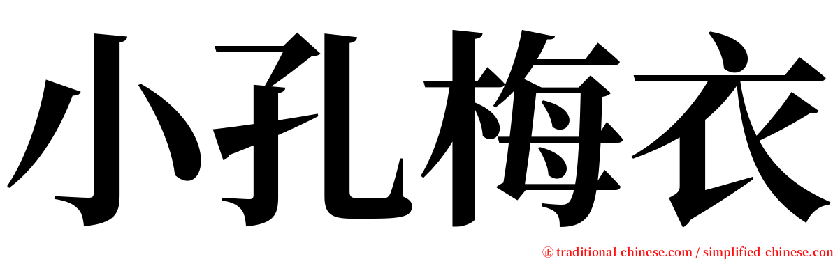 小孔梅衣 serif font