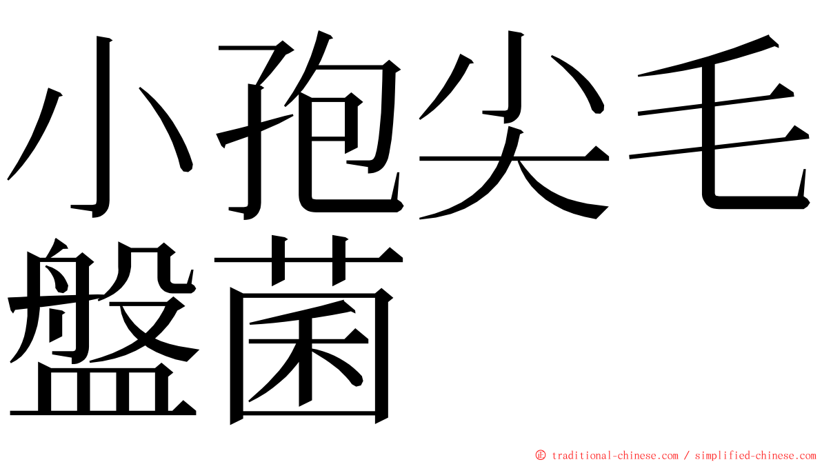 小孢尖毛盤菌 ming font