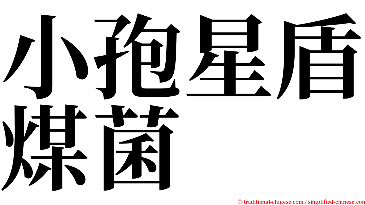 小孢星盾煤菌 serif font