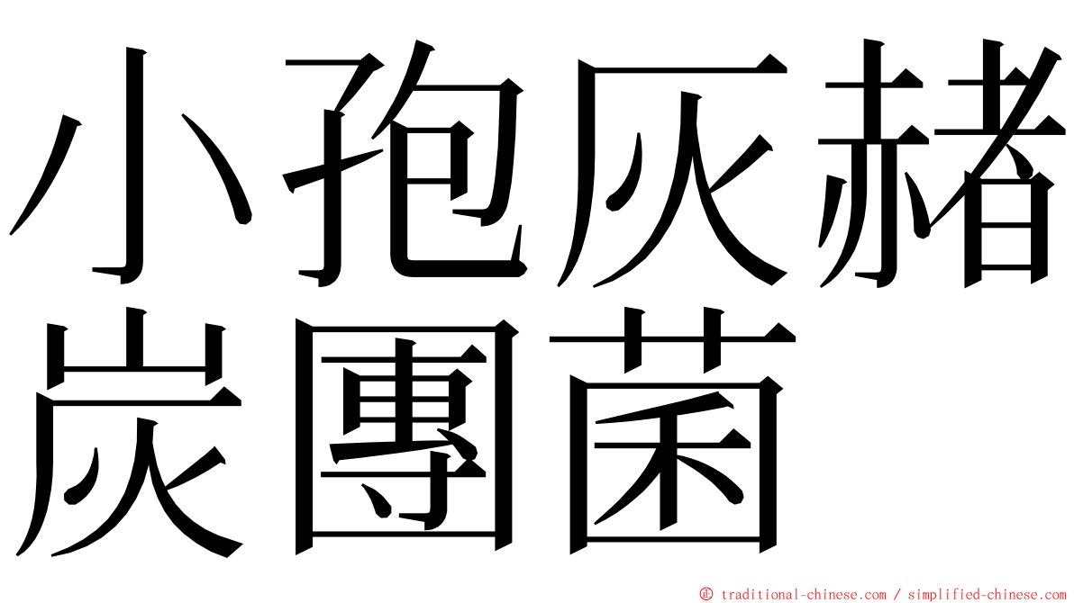 小孢灰赭炭團菌 ming font