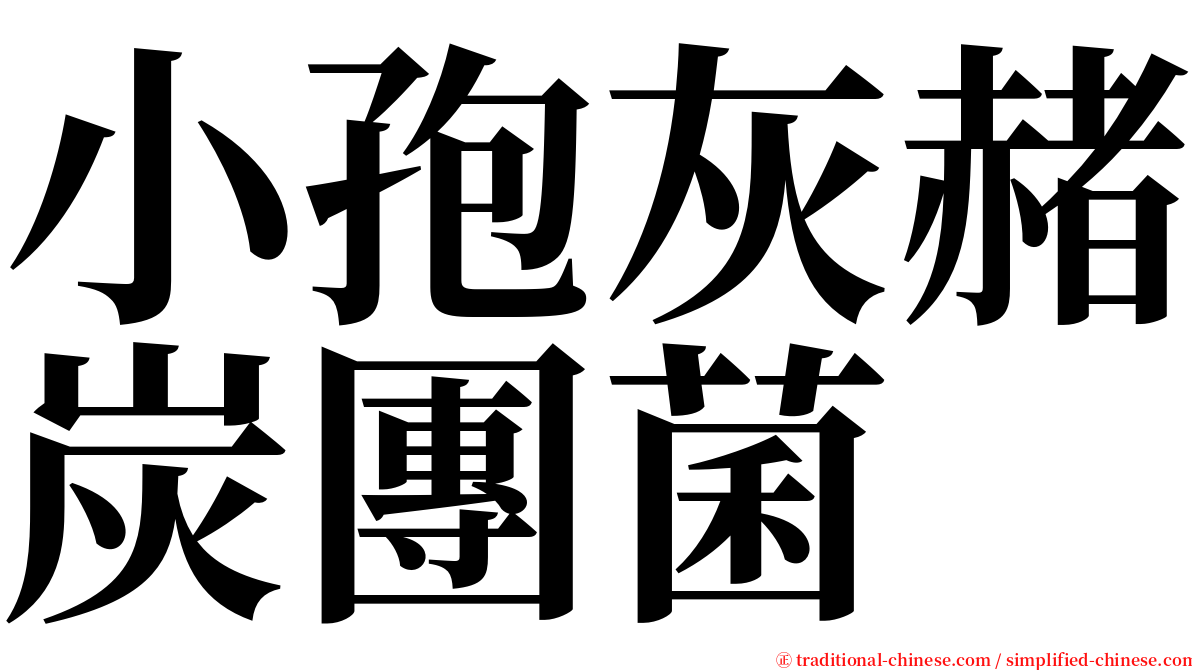 小孢灰赭炭團菌 serif font