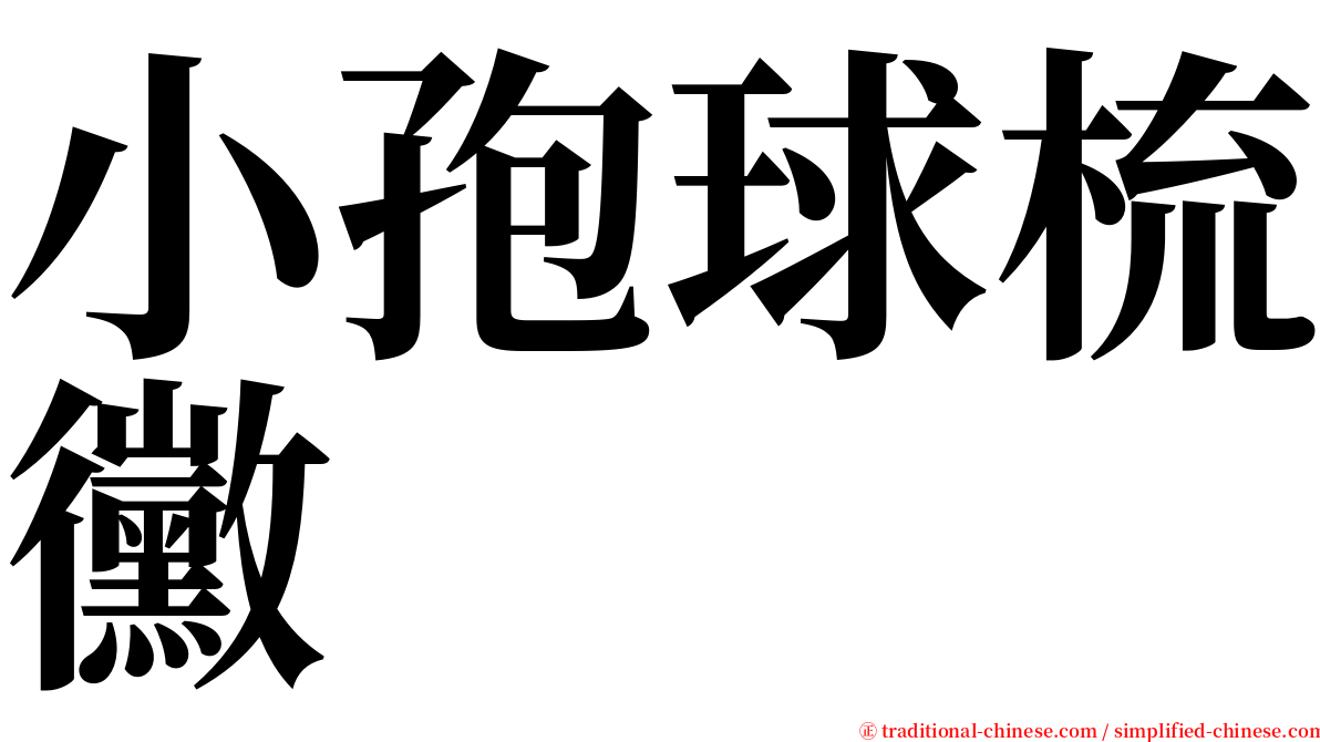 小孢球梳黴 serif font