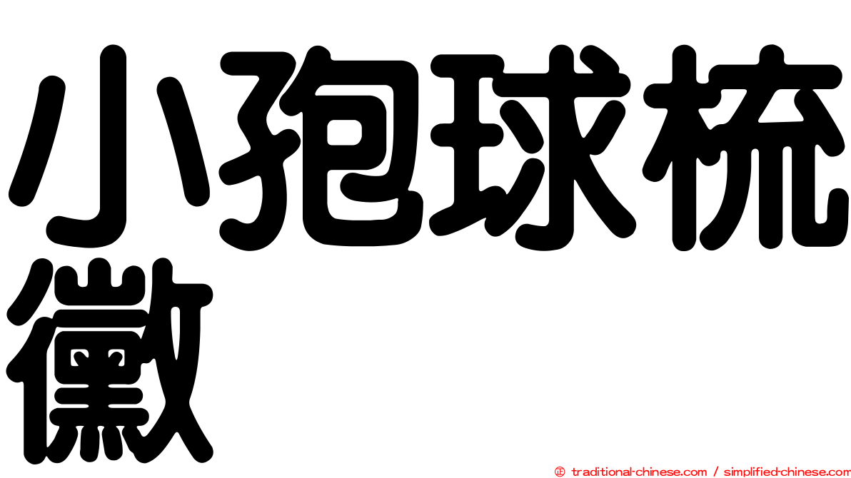 小孢球梳黴