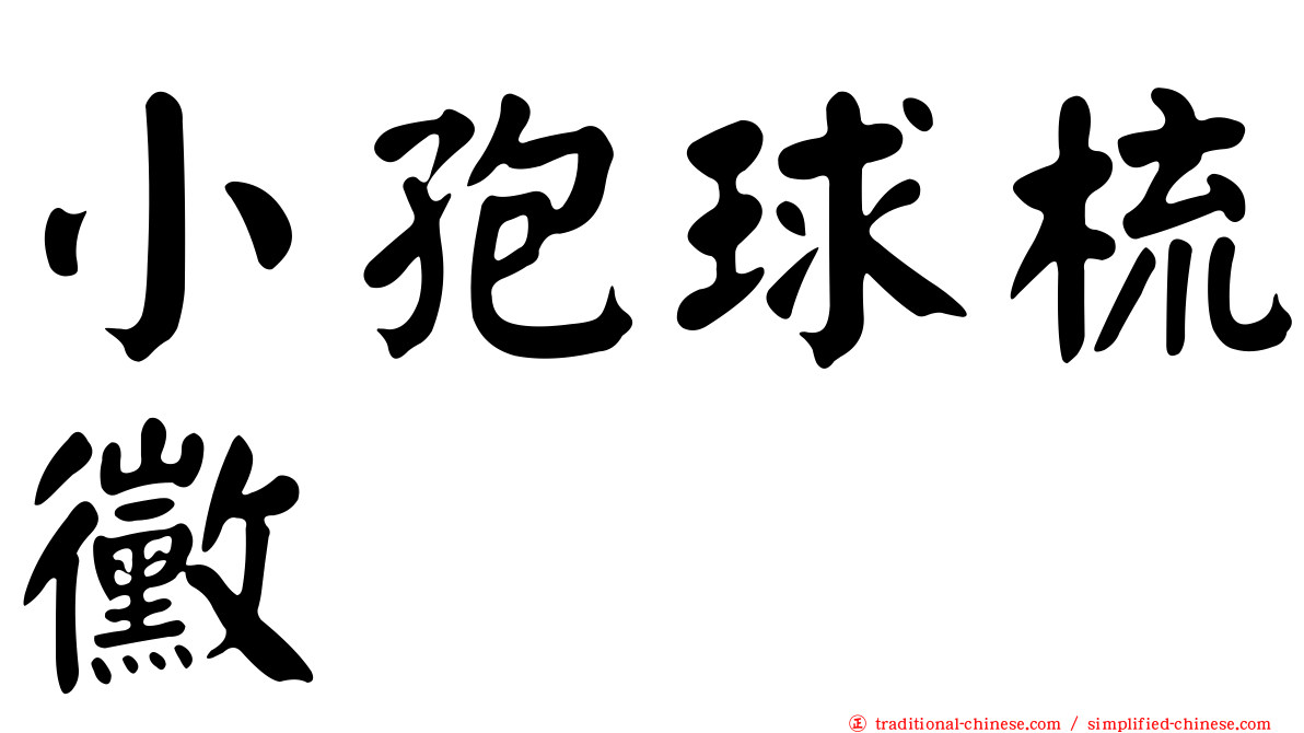 小孢球梳黴