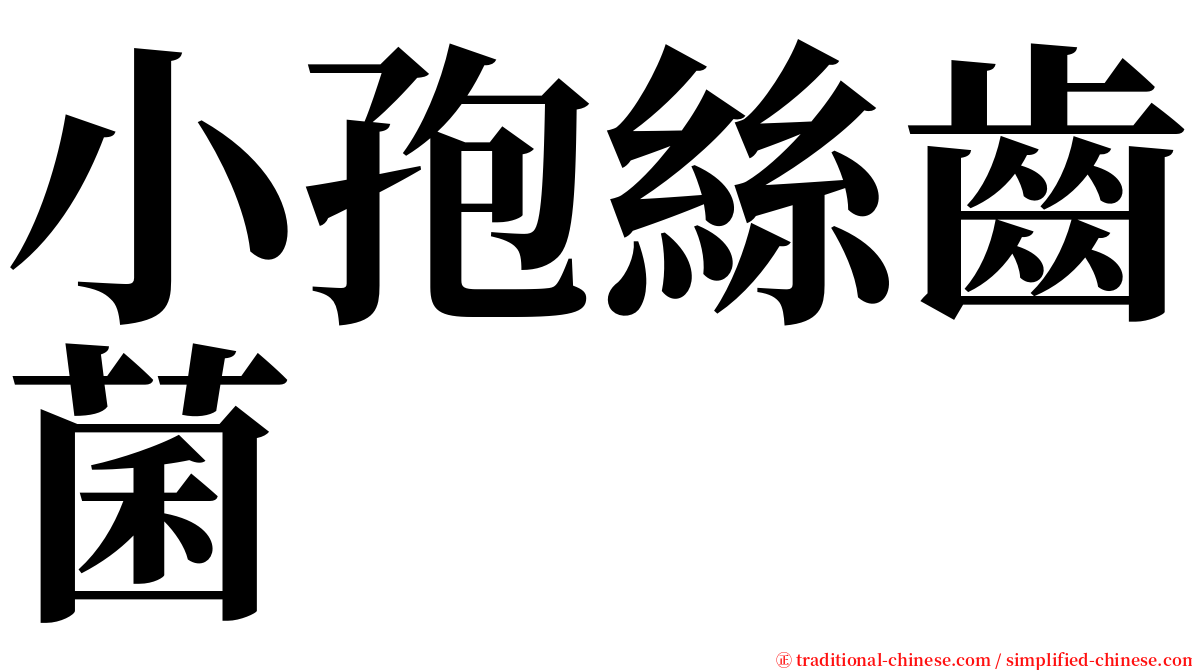 小孢絲齒菌 serif font