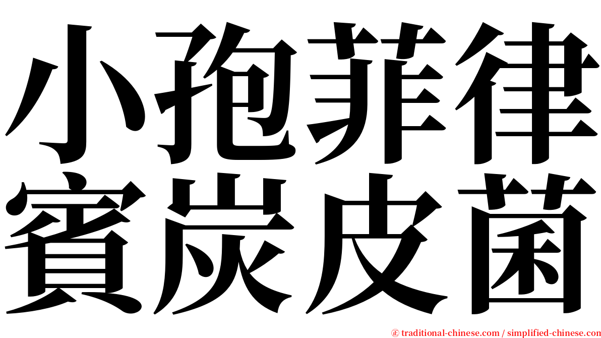 小孢菲律賓炭皮菌 serif font