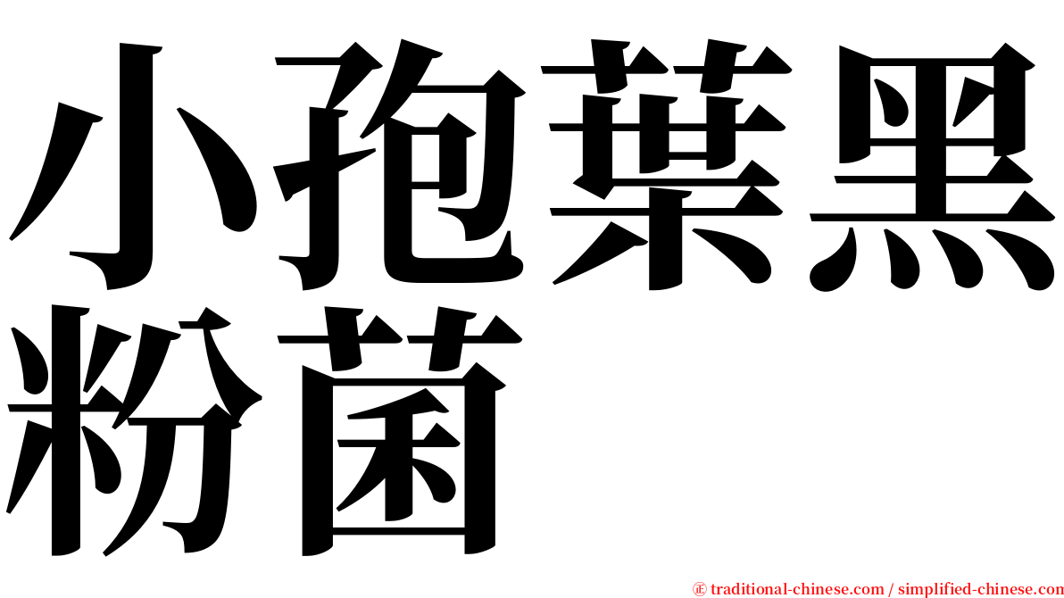 小孢葉黑粉菌 serif font